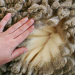 Does Merino Wool Shrink After Washing? - Quick Answer!