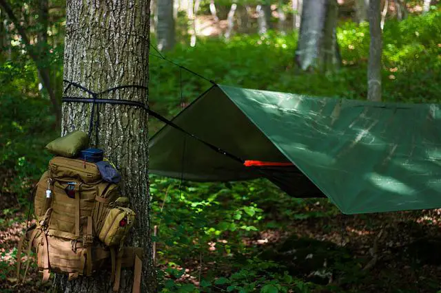 outdoor camping in forest